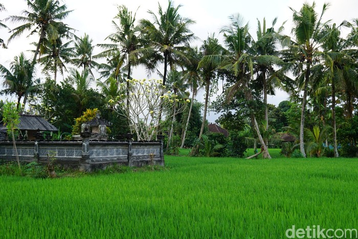 Dukungan untuk Desa Nyambu dan Potensi Ekowisatanya